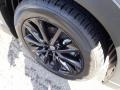 2022 Polymetal Gray Metallic Mazda CX-9 Carbon Edition AWD  photo #10