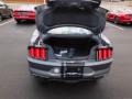Carbonized Gray Metallic - Mustang GT Premium Fastback Photo No. 4