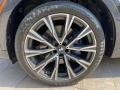 2020 BMW X7 M50i Wheel and Tire Photo