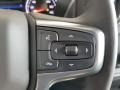 2022 Northsky Blue Metallic Chevrolet Silverado 1500 Limited RST Crew Cab 4x4  photo #30