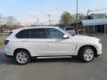 Alpine White - X5 xDrive35d Photo No. 11