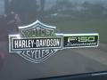 2002 Dark Shadow Grey Metallic Ford F150 Harley-Davidson SuperCrew  photo #9