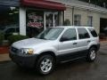 2005 Silver Metallic Ford Escape XLT V6 4WD  photo #1