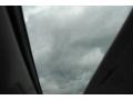 Nebula Gray Pearl - LS 460 Photo No. 26