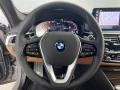 Cognac 2022 BMW 5 Series 530e Sedan Steering Wheel