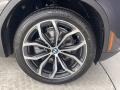 2022 BMW X4 xDrive30i Wheel and Tire Photo