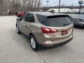 Sandy Ridge Metallic - Equinox LS AWD Photo No. 2