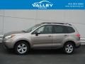 2015 Burnished Bronze Metallic Subaru Forester 2.5i Premium  photo #2