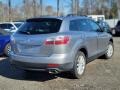 Liquid Silver Metallic - CX-9 Touring AWD Photo No. 3