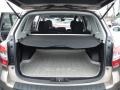 2015 Burnished Bronze Metallic Subaru Forester 2.5i Premium  photo #28