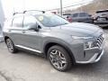Hampton Gray - Santa Fe Limited AWD Photo No. 8
