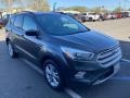 Magnetic 2018 Ford Escape SEL 4WD