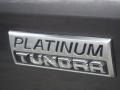 2020 Toyota Tundra Platinum CrewMax 4x4 Marks and Logos