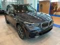Arctic Gray Metallic 2022 BMW X5 xDrive40i Exterior
