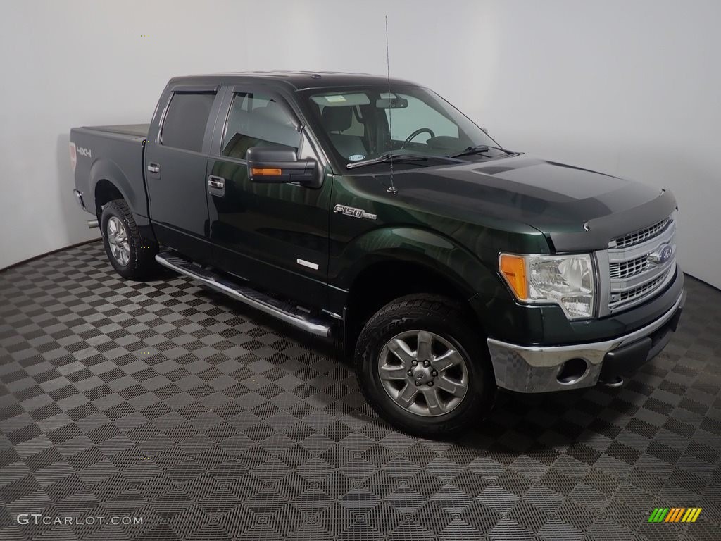 2013 F150 XLT SuperCrew 4x4 - Green Gem Metallic / Steel Gray photo #2
