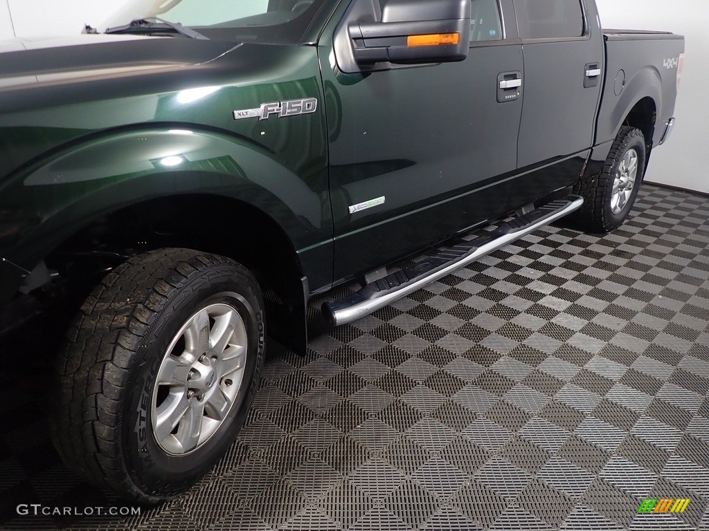 2013 F150 XLT SuperCrew 4x4 - Green Gem Metallic / Steel Gray photo #9