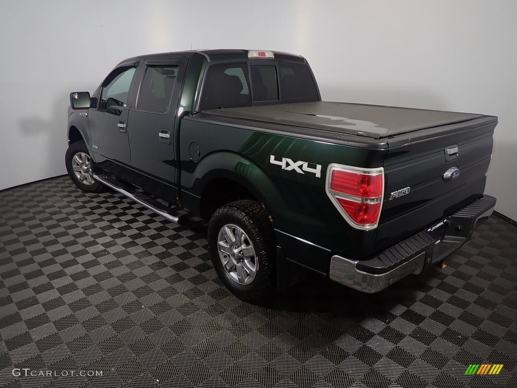 2013 F150 XLT SuperCrew 4x4 - Green Gem Metallic / Steel Gray photo #10