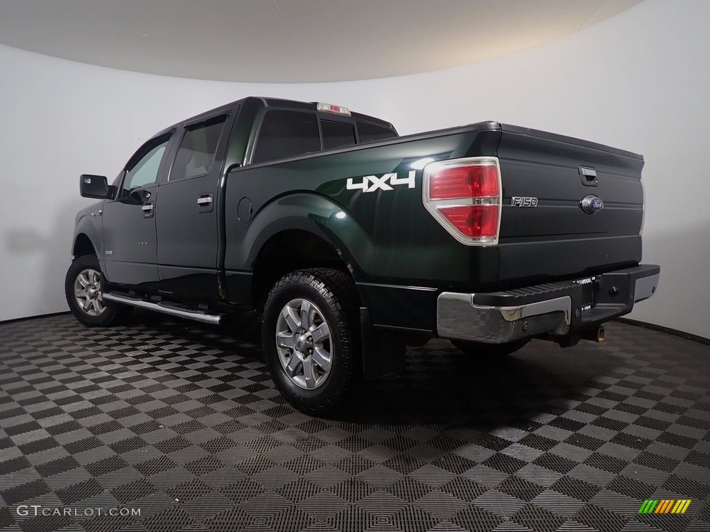 2013 F150 XLT SuperCrew 4x4 - Green Gem Metallic / Steel Gray photo #11