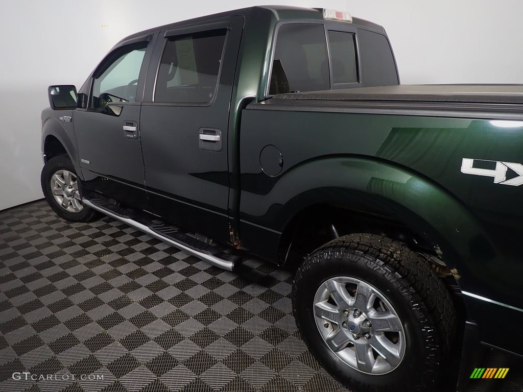 2013 F150 XLT SuperCrew 4x4 - Green Gem Metallic / Steel Gray photo #16