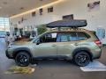 2022 Autumn Green Metallic Subaru Forester Wilderness  photo #3