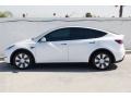 Pearl White Multi-Coat - Model Y Long Range Photo No. 8