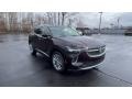 Rich Garnet Metallic - Envision Avenir AWD Photo No. 2