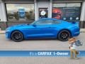 Velocity Blue 2019 Ford Mustang EcoBoost Fastback