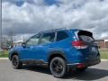 Geyser Blue - Forester Wilderness Photo No. 6