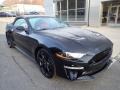 2019 Shadow Black Ford Mustang GT Premium Convertible  photo #8