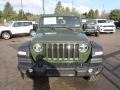 Sarge Green - Wrangler Sport 4x4 Photo No. 8