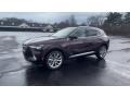 Rich Garnet Metallic - Envision Avenir AWD Photo No. 4