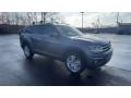 Platinum Gray Metallic - Atlas SE 4Motion Photo No. 2