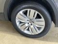 Platinum Gray Metallic - Atlas SE 4Motion Photo No. 31