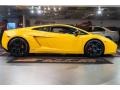  2005 Gallardo MOMO Edition Coupe Giallo Halys (Yellow)