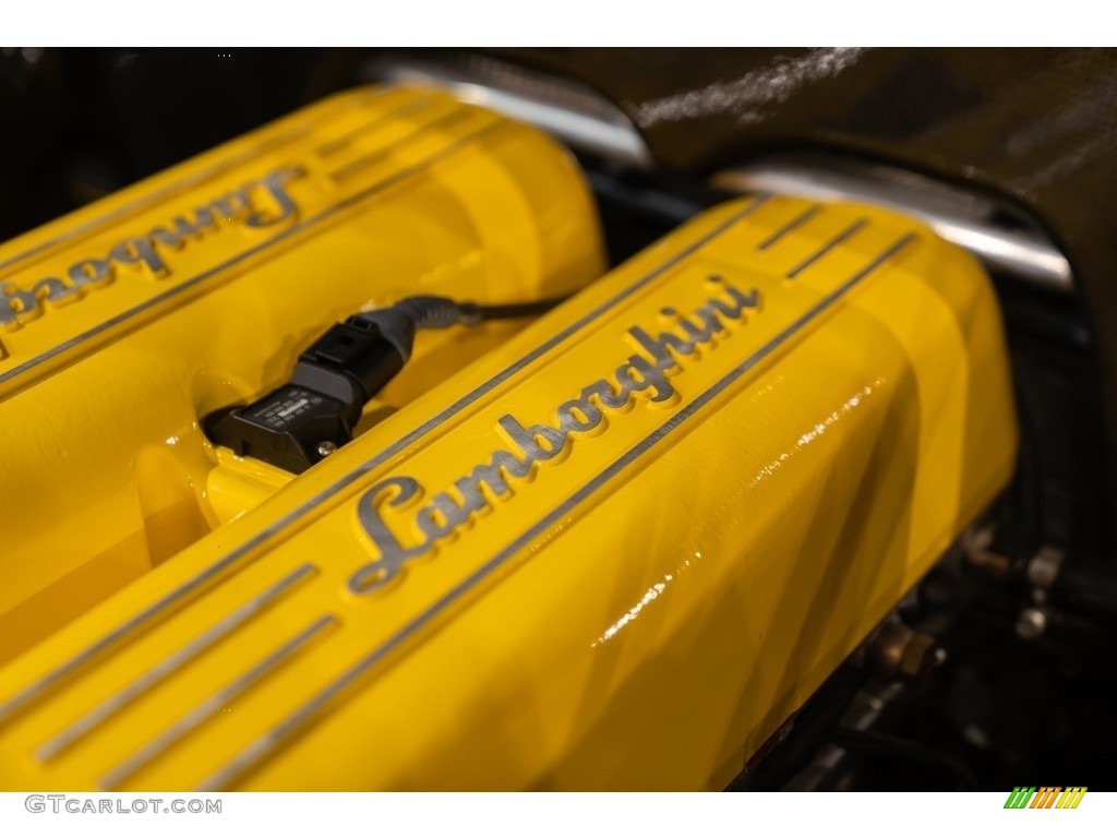 2005 Lamborghini Gallardo MOMO Edition Coupe Marks and Logos Photo #144081965