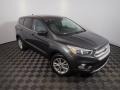 Magnetic 2019 Ford Escape SE 4WD