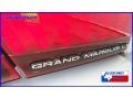 Silver Frost Metallic - Grand Marquis LS Photo No. 9