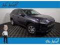 Magnetic Gray Metallic - RAV4 LE AWD Photo No. 1