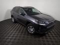 Magnetic Gray Metallic - RAV4 LE AWD Photo No. 3
