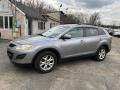 Liquid Silver Meatllic - CX-9 Touring AWD Photo No. 3
