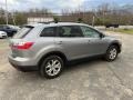 Liquid Silver Meatllic - CX-9 Touring AWD Photo No. 9