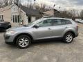 Liquid Silver Meatllic - CX-9 Touring AWD Photo No. 13