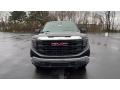 Onyx Black - Sierra 1500 Pro Regular Cab 4WD Photo No. 3