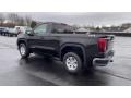 Onyx Black - Sierra 1500 Pro Regular Cab 4WD Photo No. 6