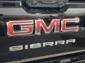 Onyx Black - Sierra 1500 Pro Regular Cab 4WD Photo No. 26