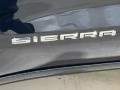 Onyx Black - Sierra 1500 Pro Regular Cab 4WD Photo No. 27