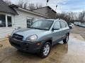 2006 Sahara Silver Hyundai Tucson GLS V6  photo #2