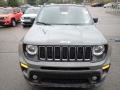 Sting-Gray - Renegade Latitude 4x4 Photo No. 8