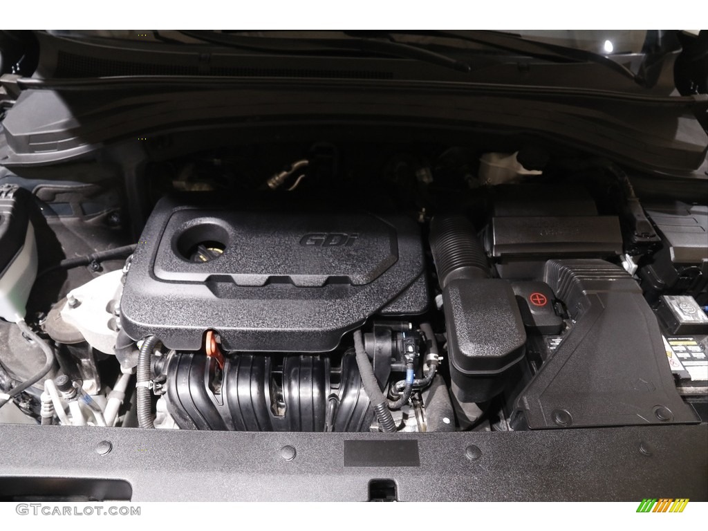 2019 Santa Fe SE AWD - Rainforest / Black photo #19