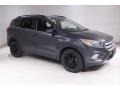 2019 Magnetic Ford Escape SEL  photo #1